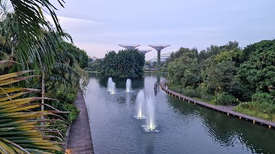 シンガポール