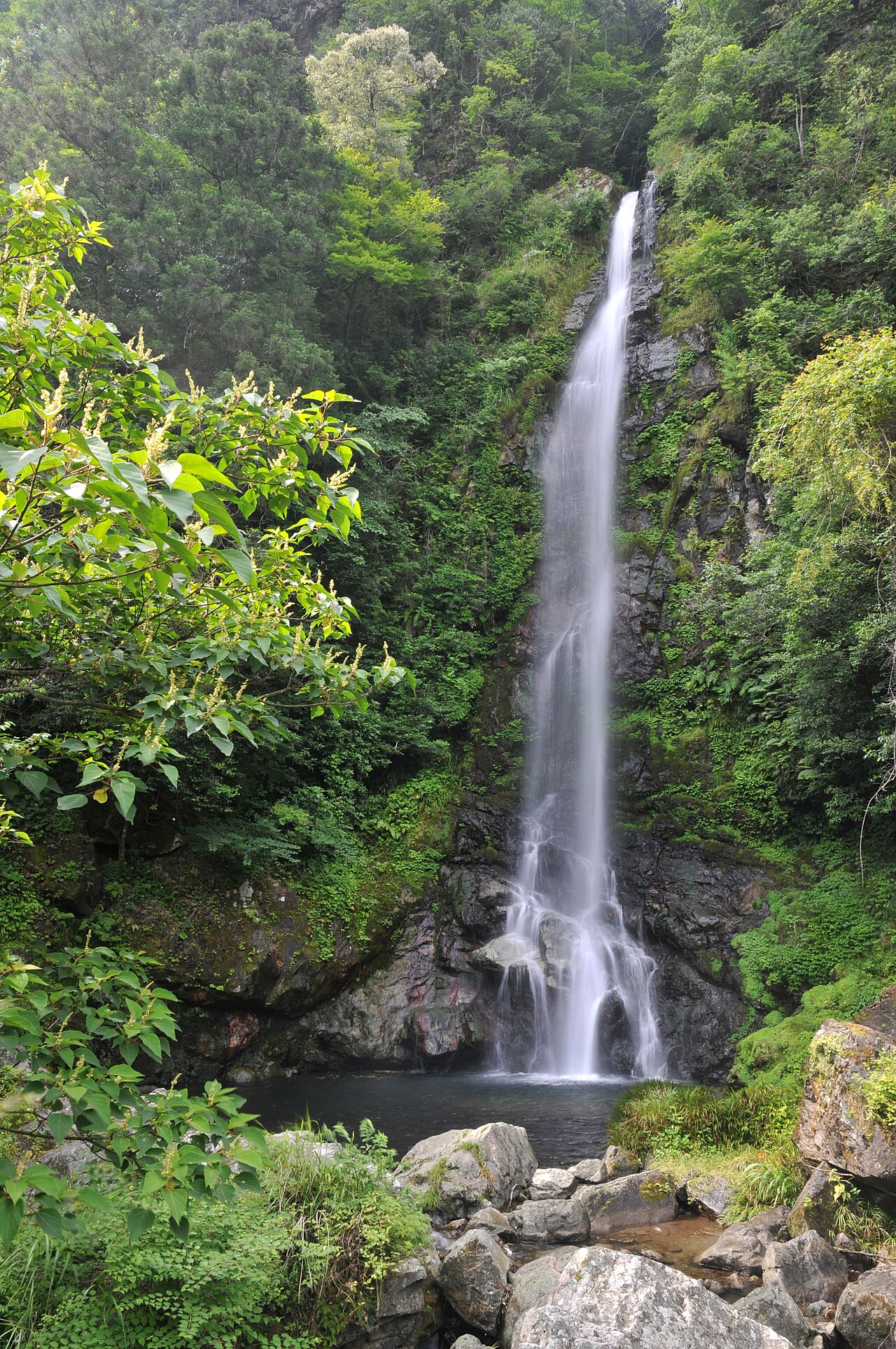 大樽の滝