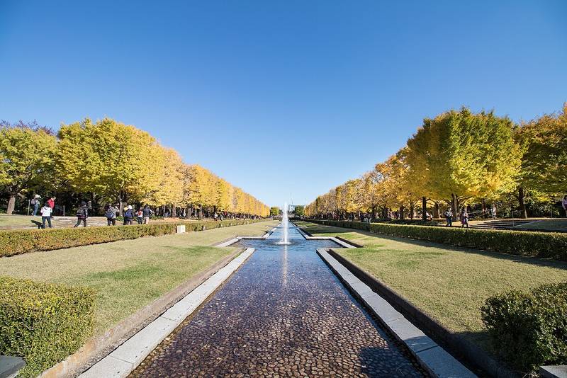 国営昭和記念公園