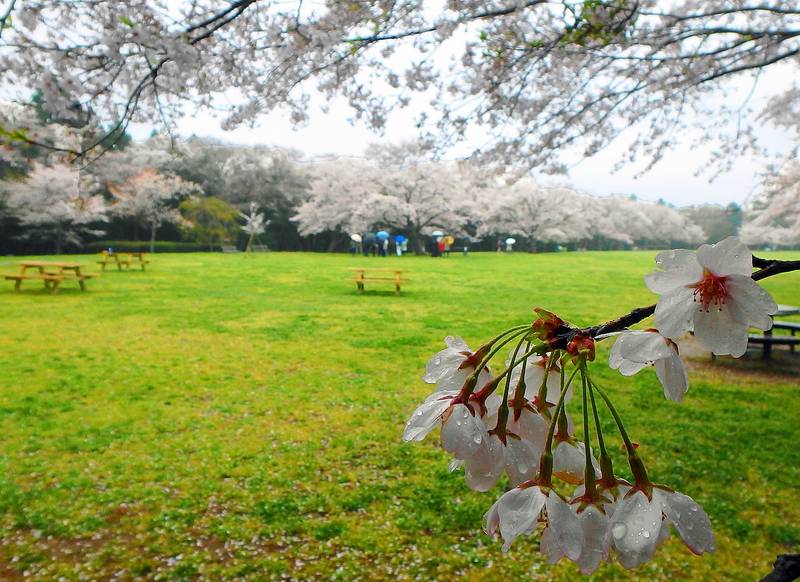 泉自然公園