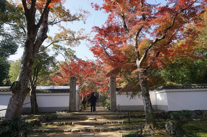 淨住寺