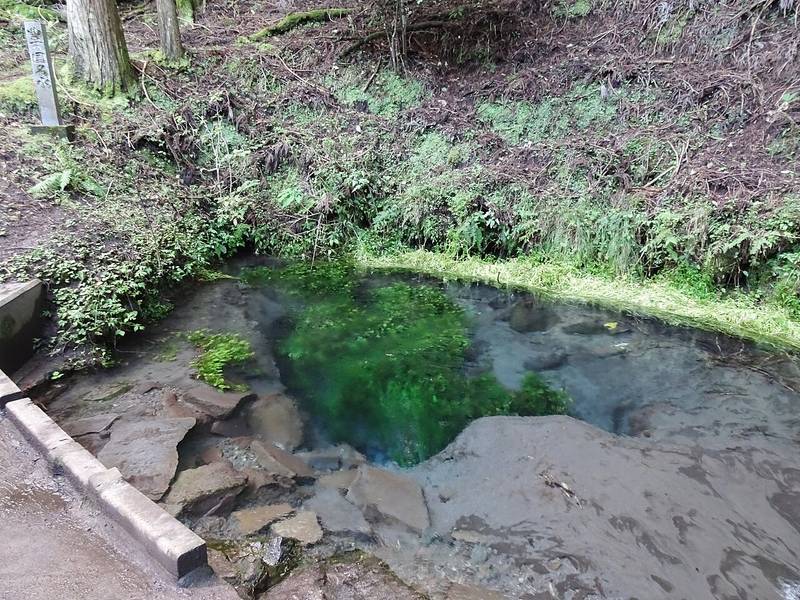男池湧水群