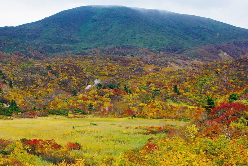 栗駒山麓ジオパークビジターセンター