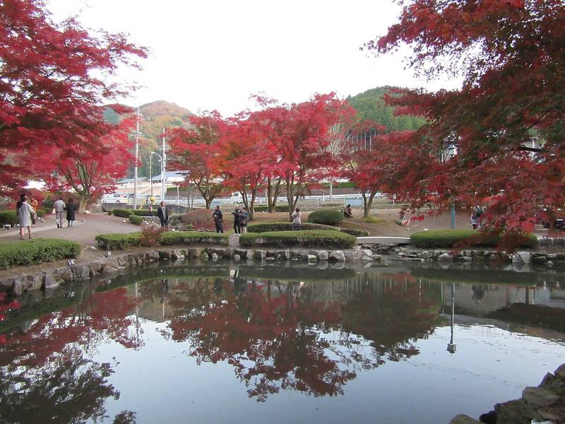 曽木公園