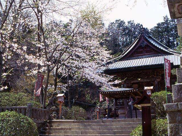Gan'nanden Shōhō-ji (Iwadono Kannon)