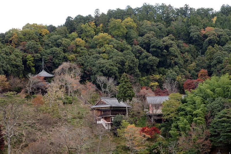 Nyorin-ji Temple
