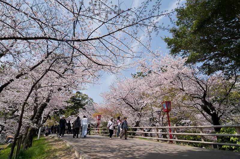 岡崎城公園