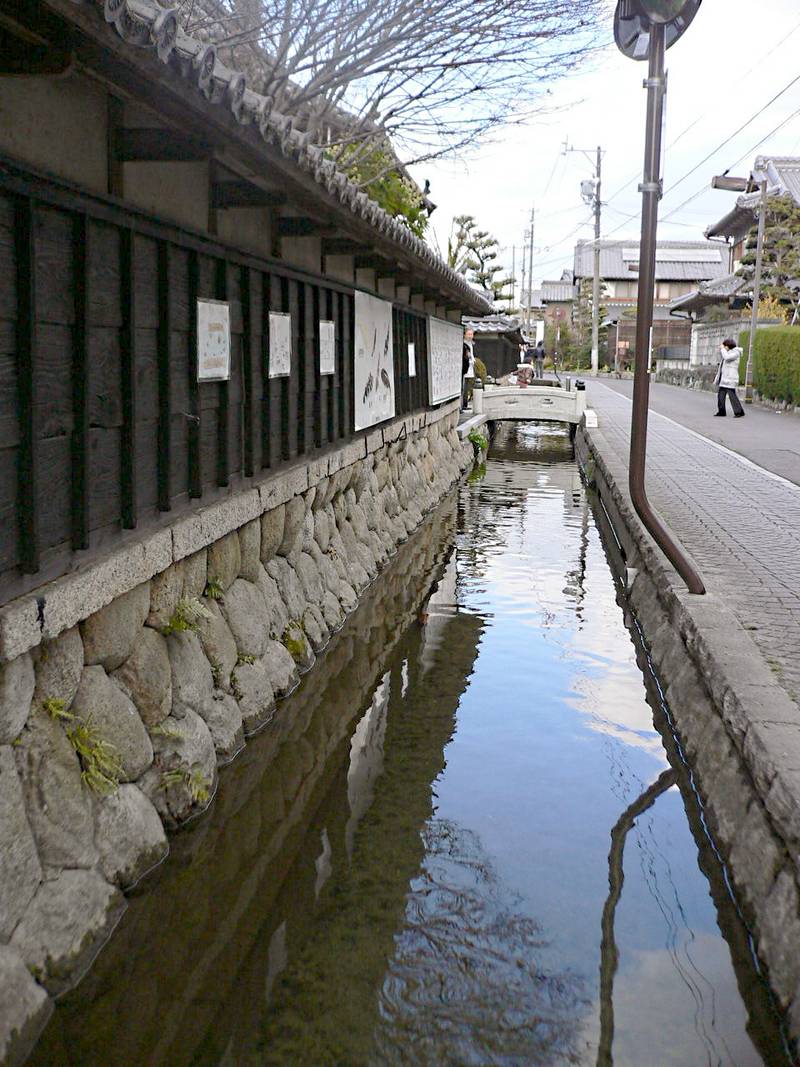 智積養水