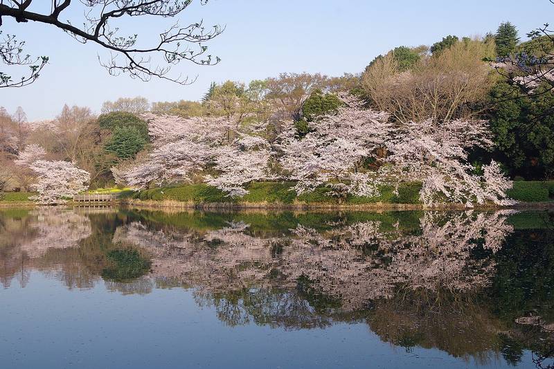 三ツ池公園