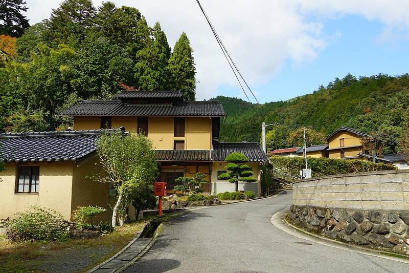 大屋町大杉