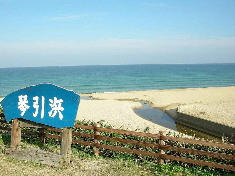 琴引浜