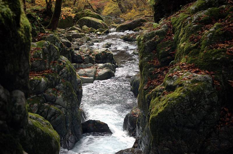 音水渓谷