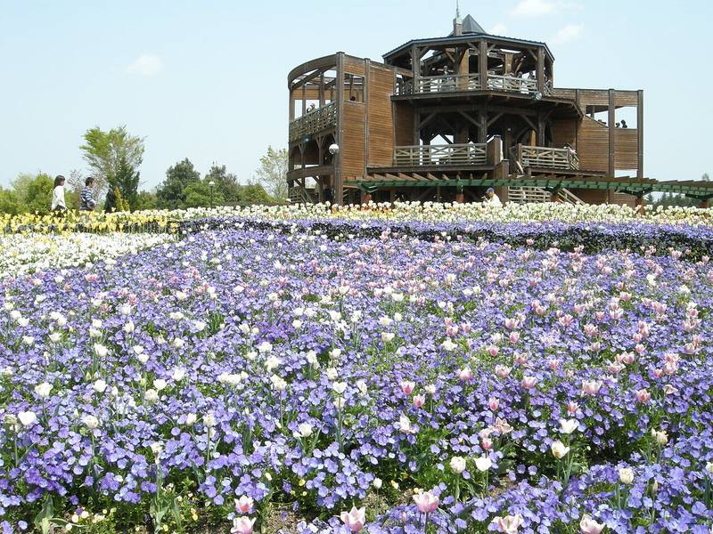 National Bihoku Hillside Park