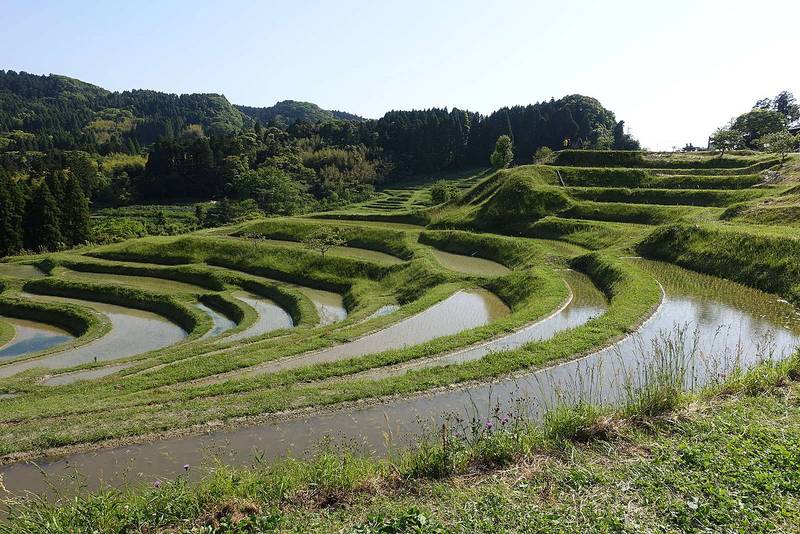 오야마 센마이다