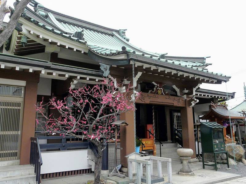 Kyozenshi