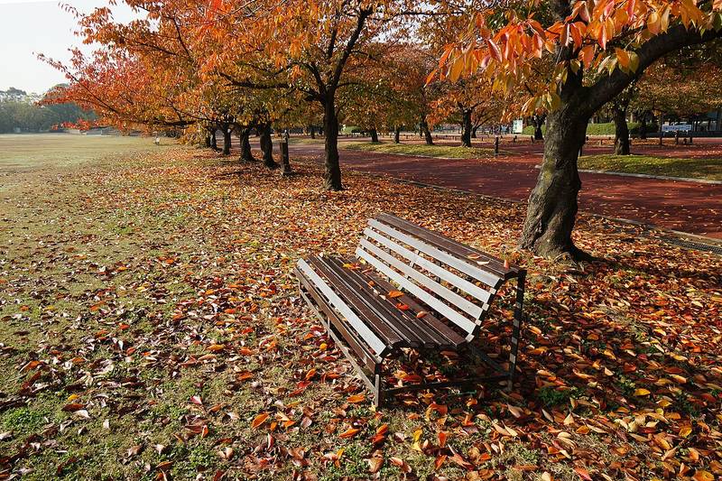 万博記念公園
