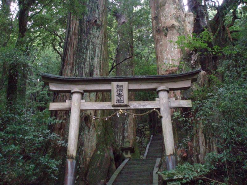 野中の清水