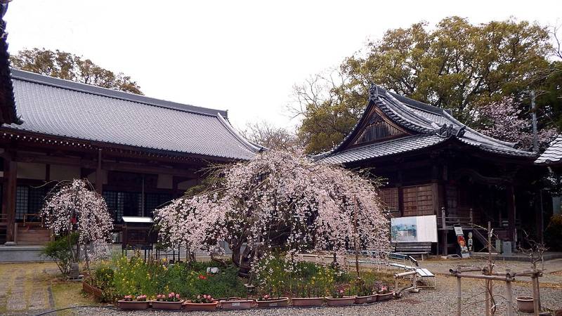 설渓사