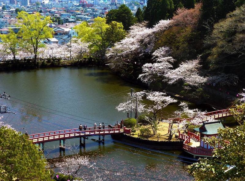 茂原公園