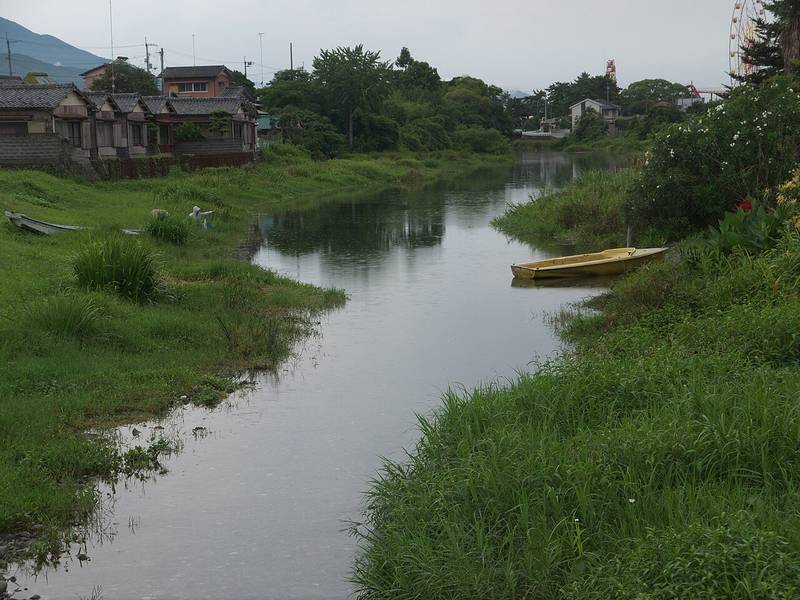 江川の湧水