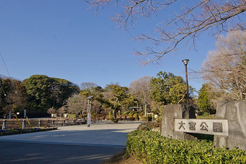 大宮公園