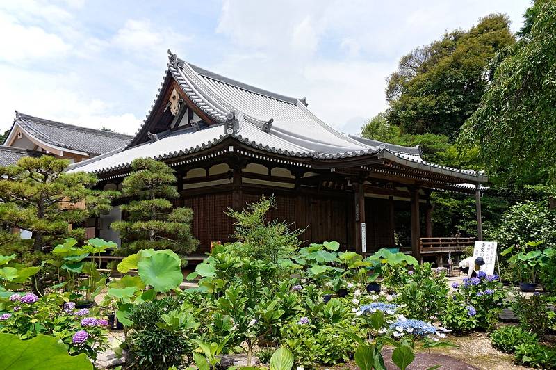 法金剛院