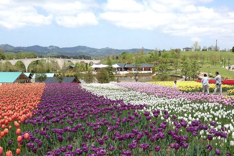 National Echigo Hillside Park