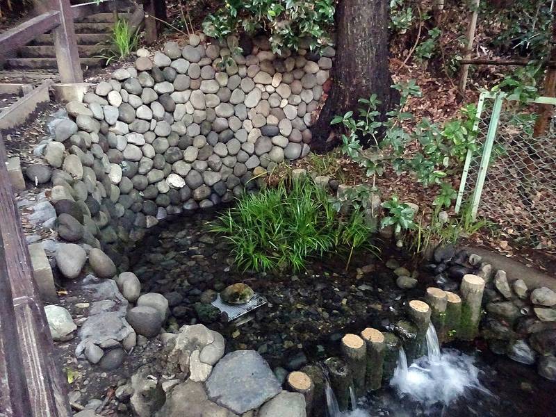 お鷹の道・真姿の池湧水群