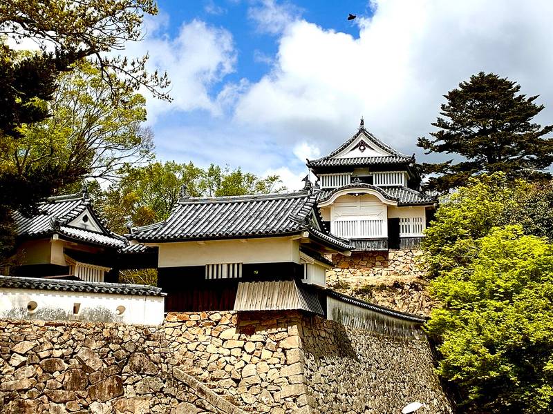 Bitchu Matsuyama Castle